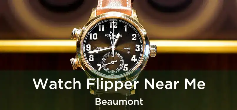 Watch Flipper Near Me Beaumont